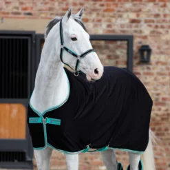 Amigo Jersey Cooler Black/Teal