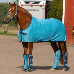Amigo Stable Sheet Delphinium Blue