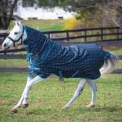 Amigo Pony Plus 50g Turnout Rug