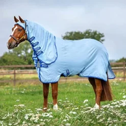 Amigo Ripstop Hoody Blue Pony