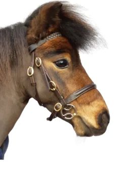 Diddy Bits Bevel Cheek Curve