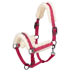 Eskadron Glossy Evo Wool Headcollar Berry