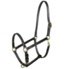Horze Fremont Leather Headcollar Brown