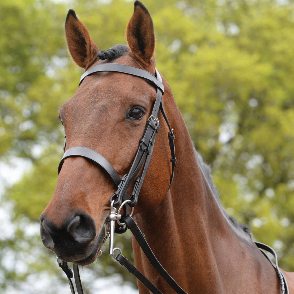 Kincade Show Weymouth Bridle 1 Kincade Show Weymouth Bridle