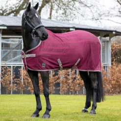 LeMieux Arika Airtek Burgundy