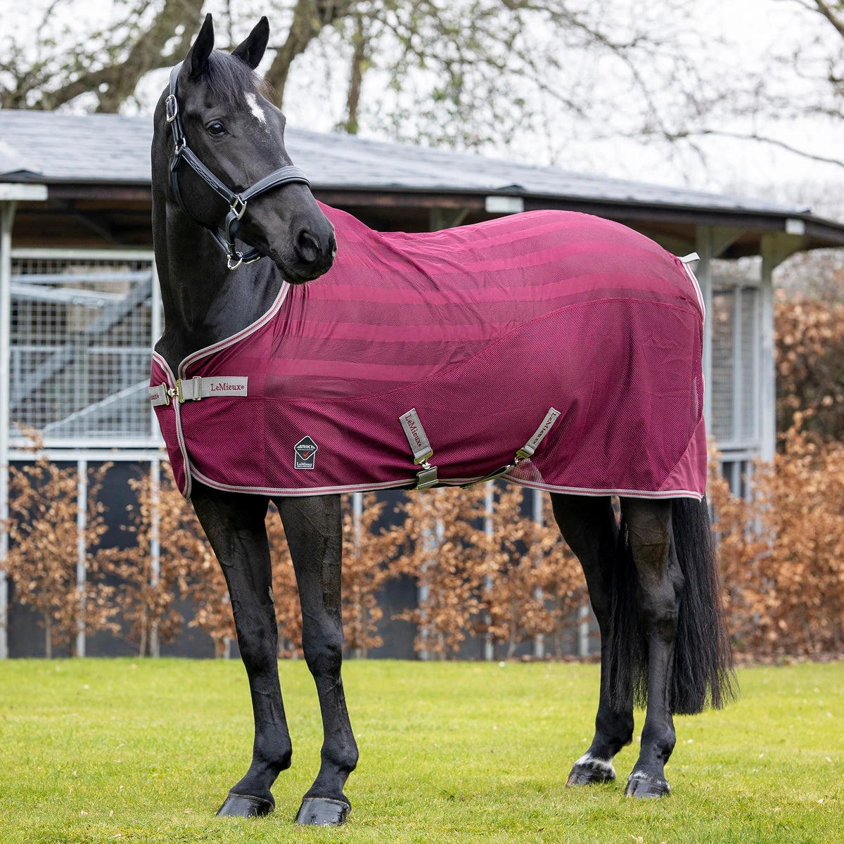 LeMieux Arika Airtek Burgundy 1 LeMieux Arika Airtek Burgundy