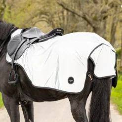 LeMieux Reflective Exercise Sheet