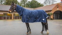 Rhinegold Arizona T/O Combo 100g