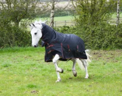 Rhinegold Aspen 350g Combo Turnout