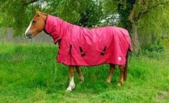 Rhinegold Turnout Konig Combo Red 200g