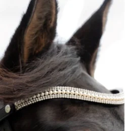 Rider Freedom Grace Browband Black