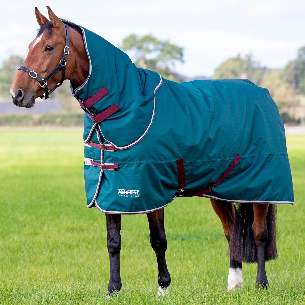 Tempest Orig Turnout Rug & Neck 200g Green 1 Tempest Orig Turnout Rug & Neck 200g Green