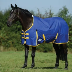 Weatherbeeta Classic Standard Neck Lite Turnout