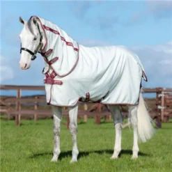 Amigo Aussie Allrounder