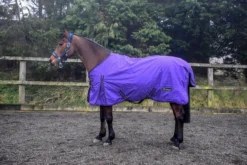 Whitaker Tanfield 50g Turnout Rug Purple