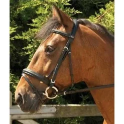 Windsor Flash Bridle Brown